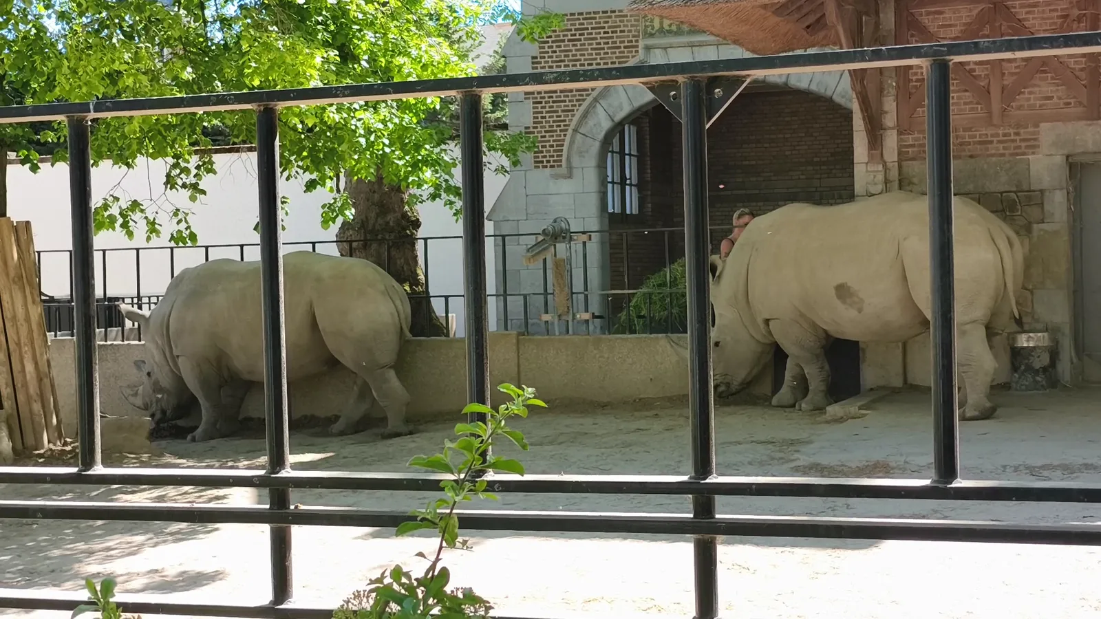 Atmosphere at Zoo Antwerpen Antwerp — travel photo