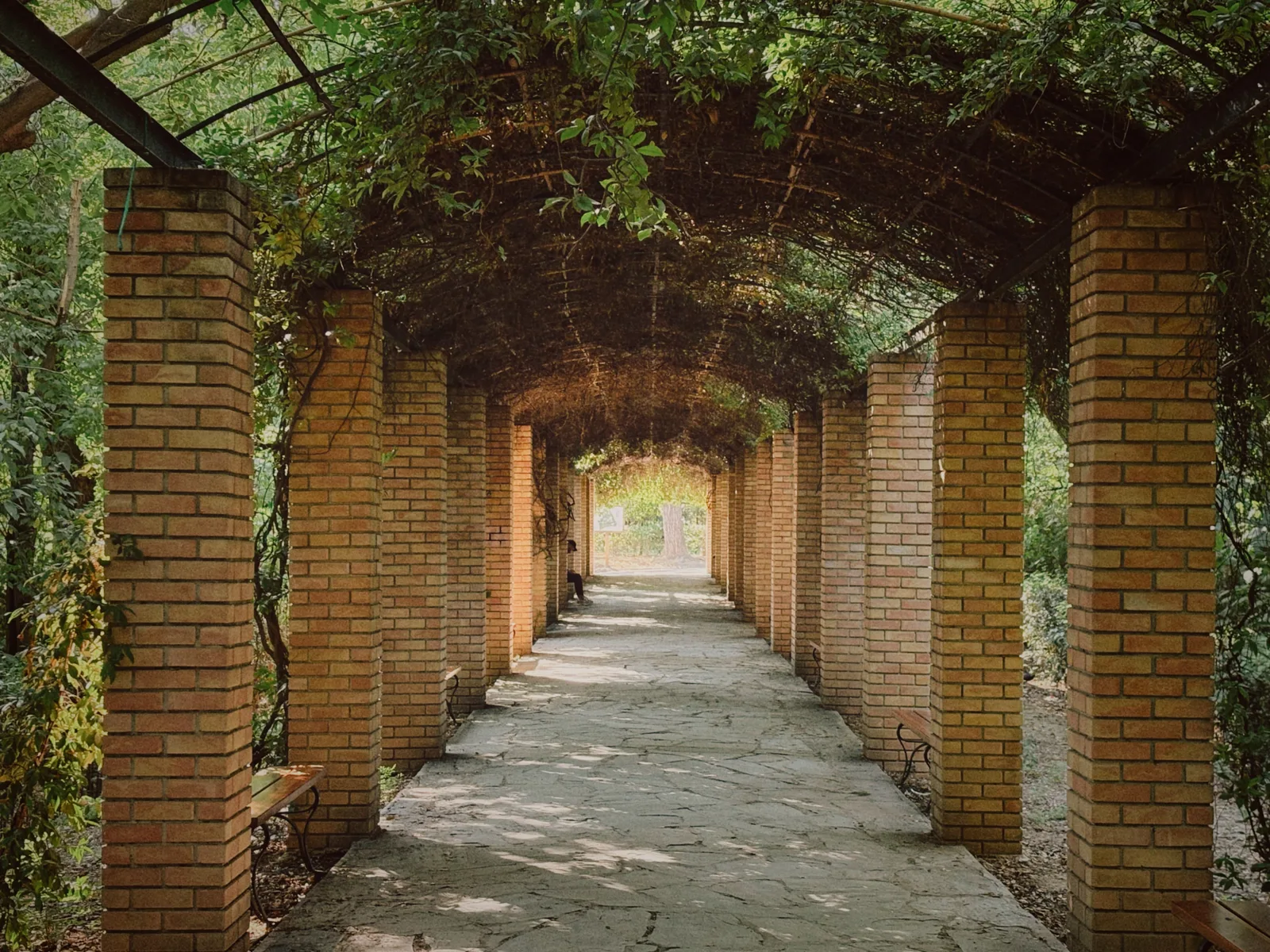 Main view at Botanical Museum of the National Gardens Athens — travel photo