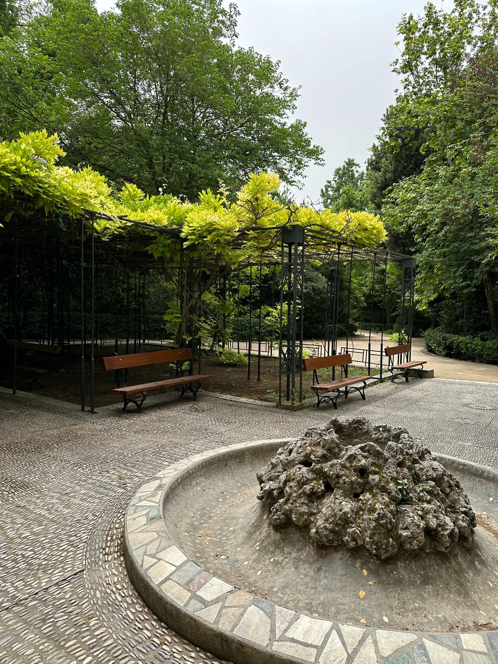 Atmosphere at Botanical Museum of the National Gardens Athens — travel photo