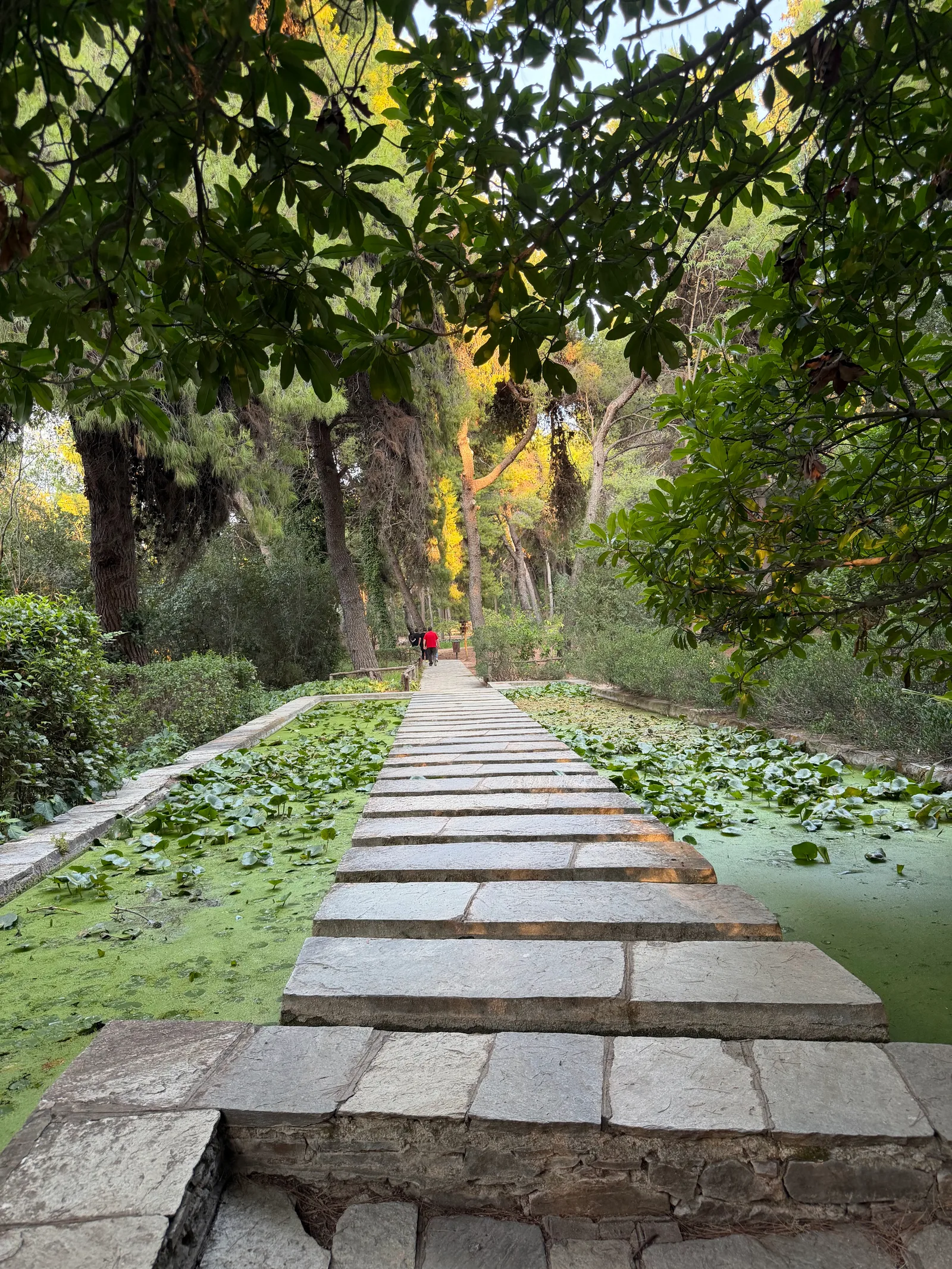 Main view at Diomidous Botanical Garden Athens — travel photo