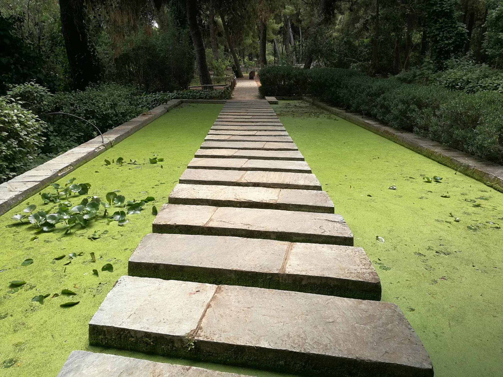 Interior at Diomidous Botanical Garden Athens — travel photo