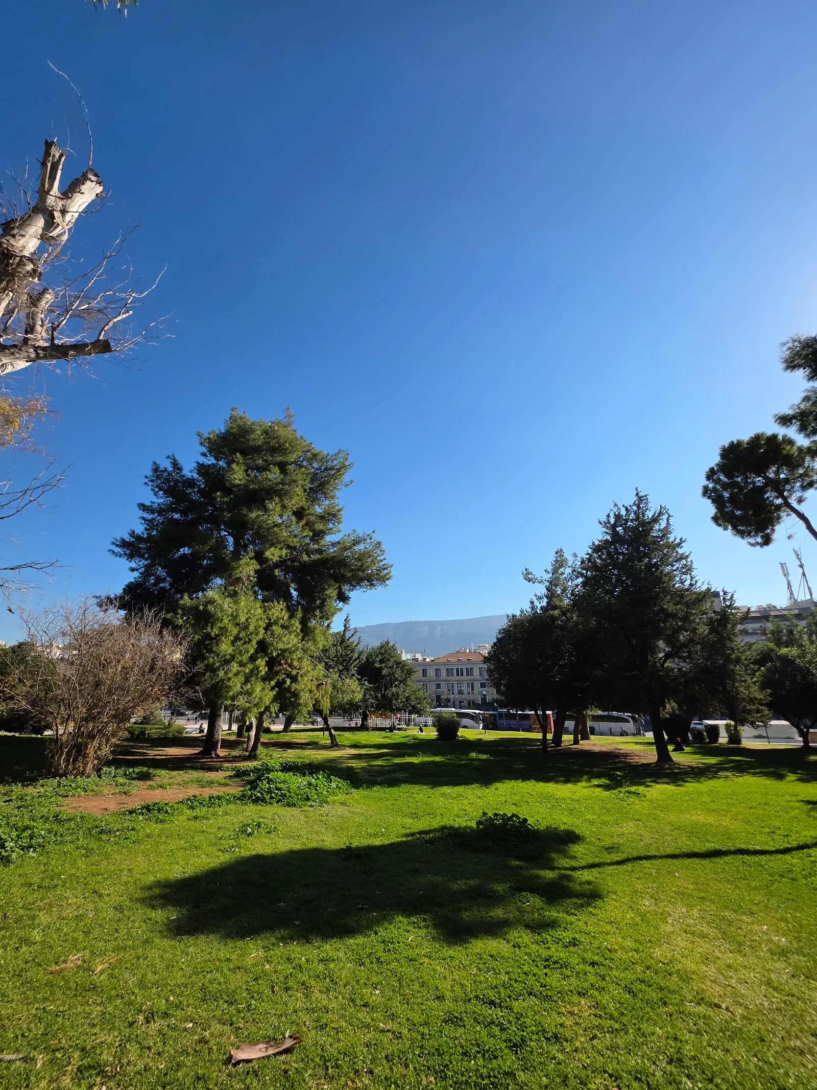 Main view at Eleftherias Park Athens — travel photo