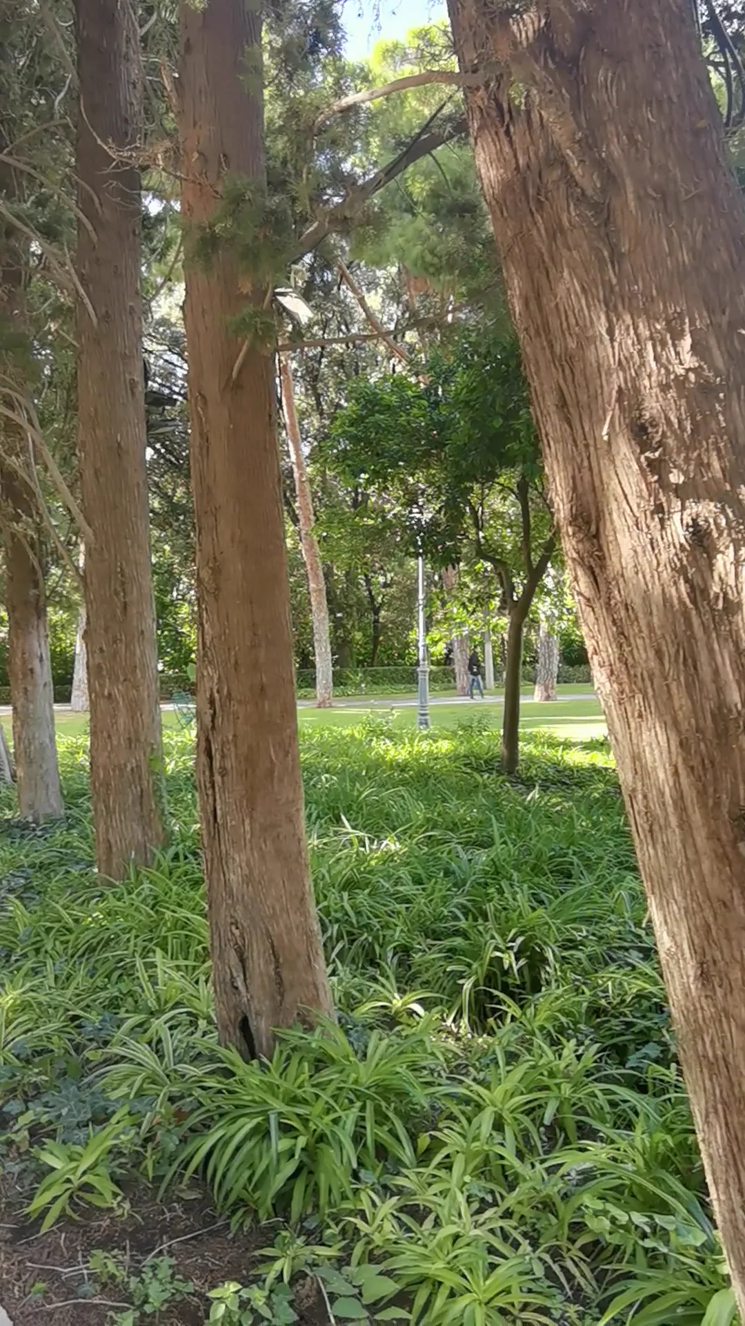 Main view at Garden of the Presidential Palace Athens — travel photo