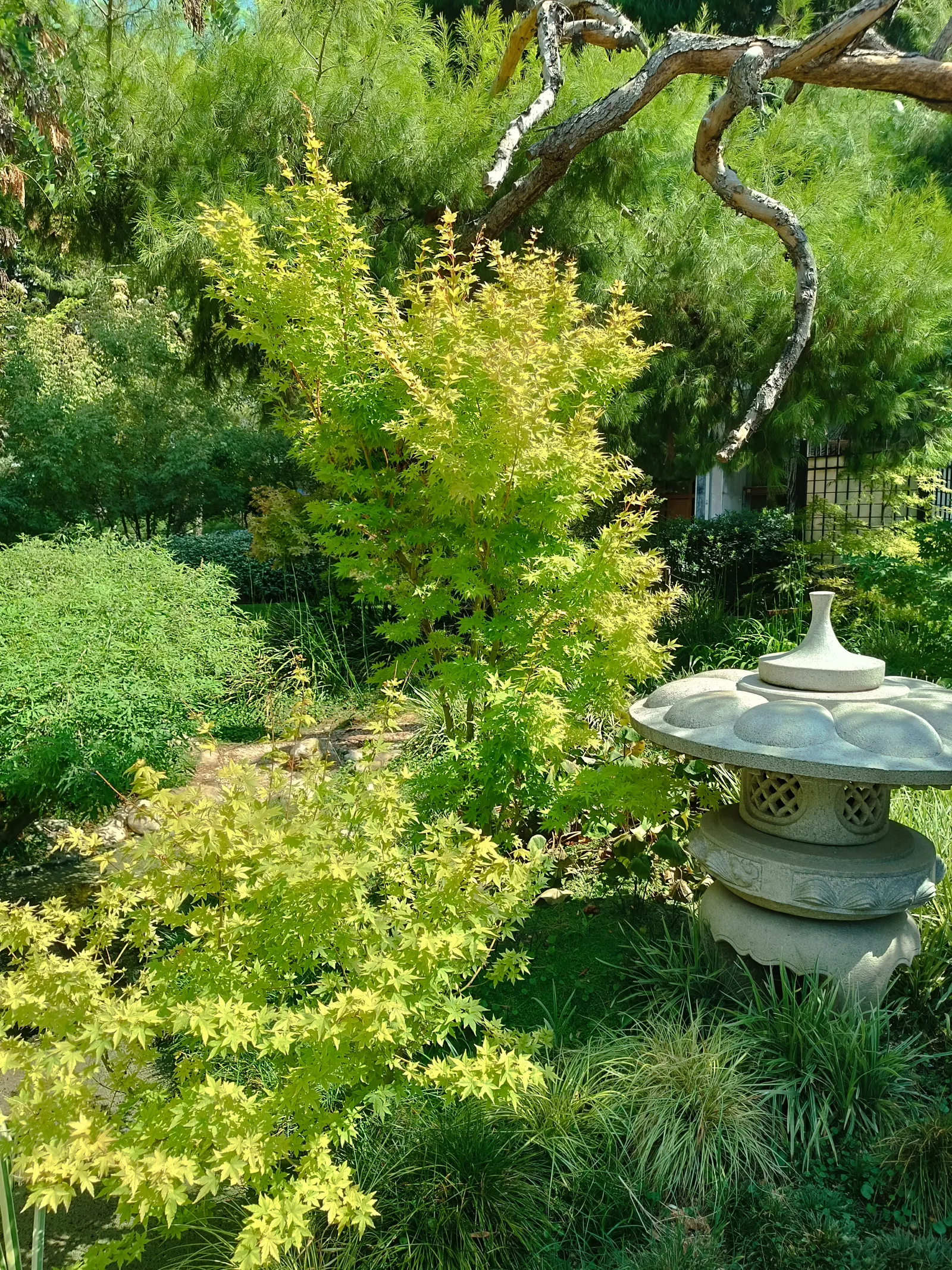 Main view at Japanese Park Athens — travel photo