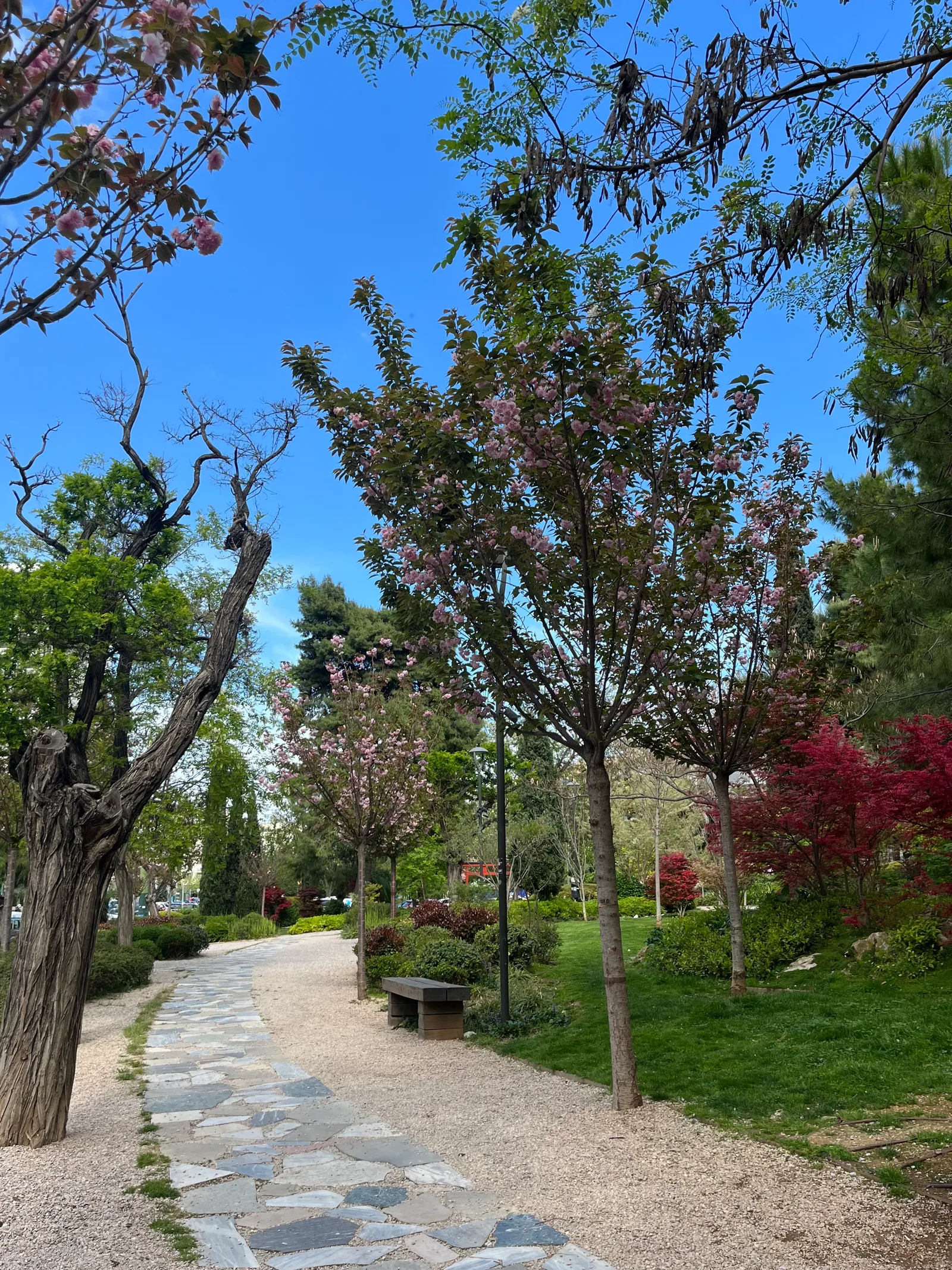 Atmosphere at Japanese Park Athens — travel photo