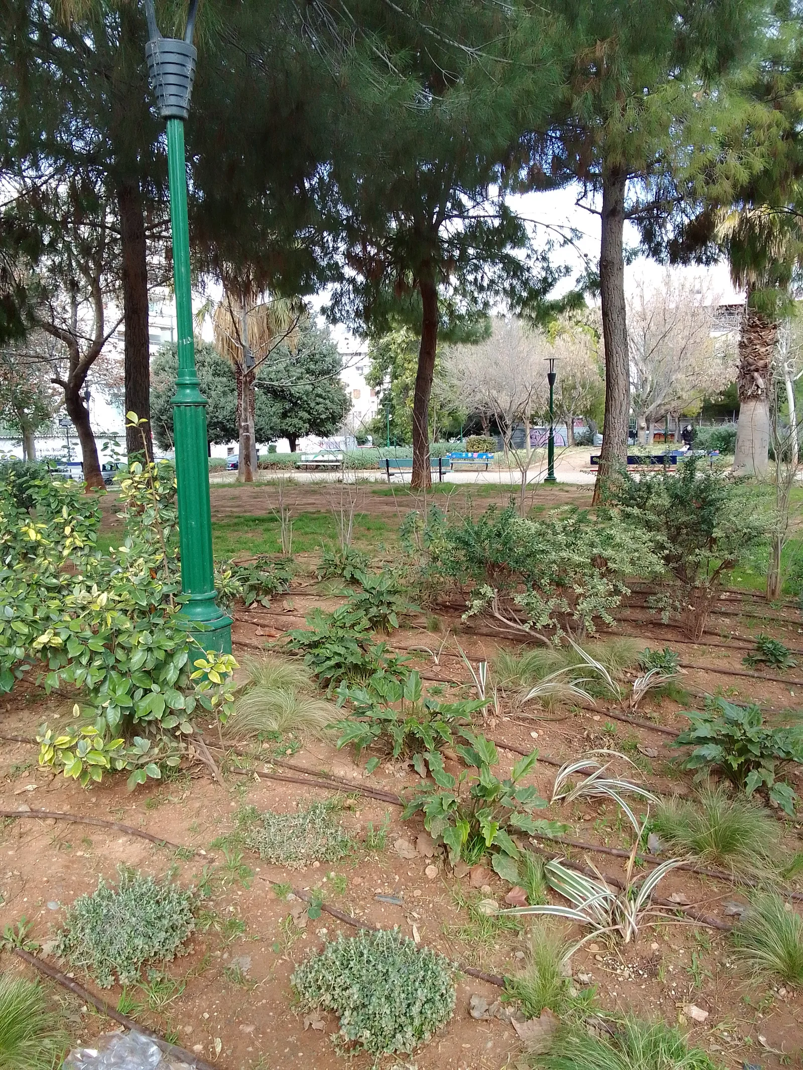 Atmosphere at Klonaridis - Fix Park Athens — travel photo