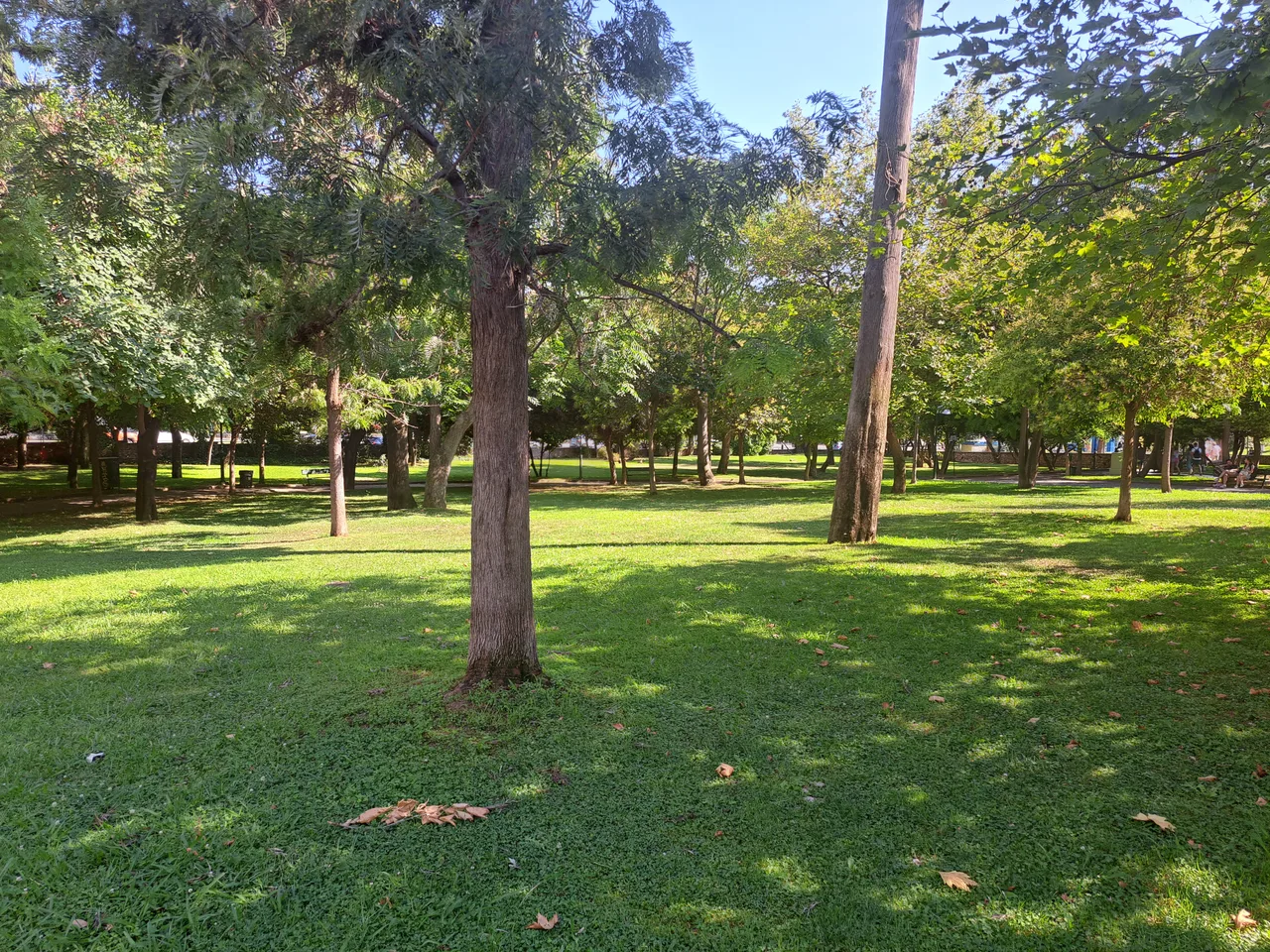 Rizari Park — romantic guide Athens