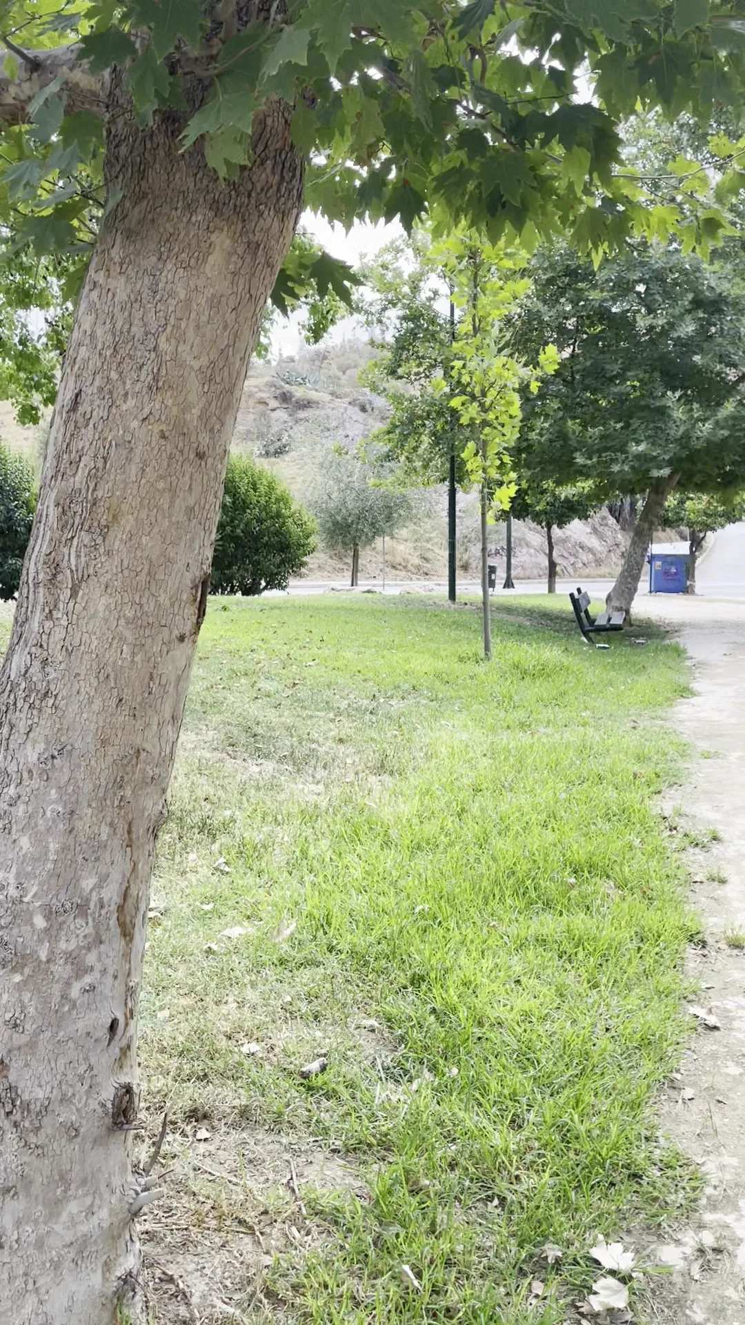 Details at Voutie Park Athens — travel photo