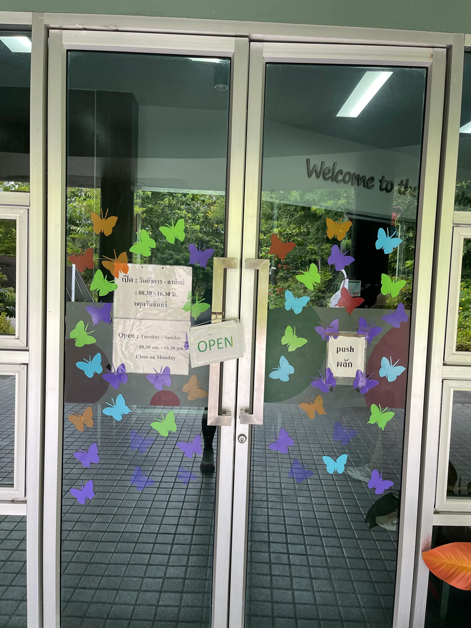 Bangkok Butterfly Garden and Insectarium β culture guide Bangkok