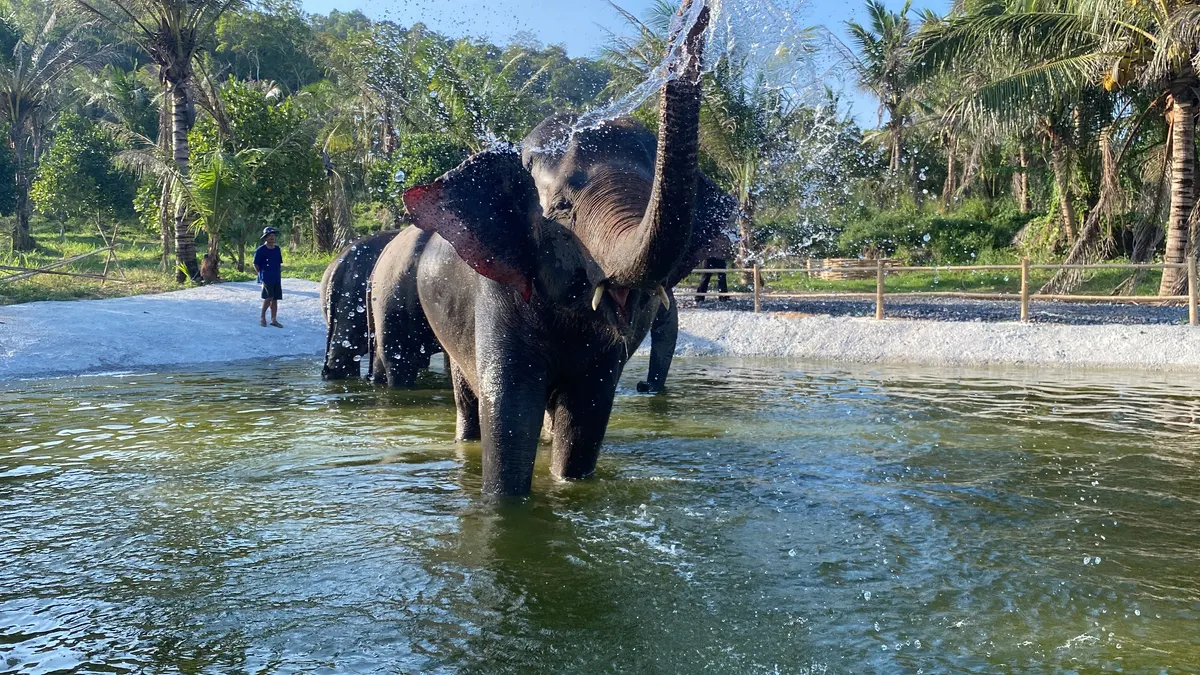 Main view at Bangkok Ethical Elephant Tour (Living Green Elephant Sanctuary) Bangkok — travel photo