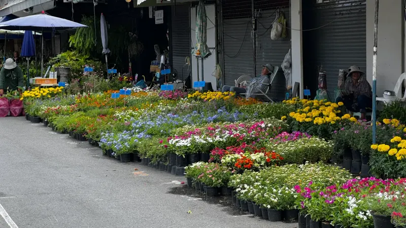 Chatuchak Weekend Market