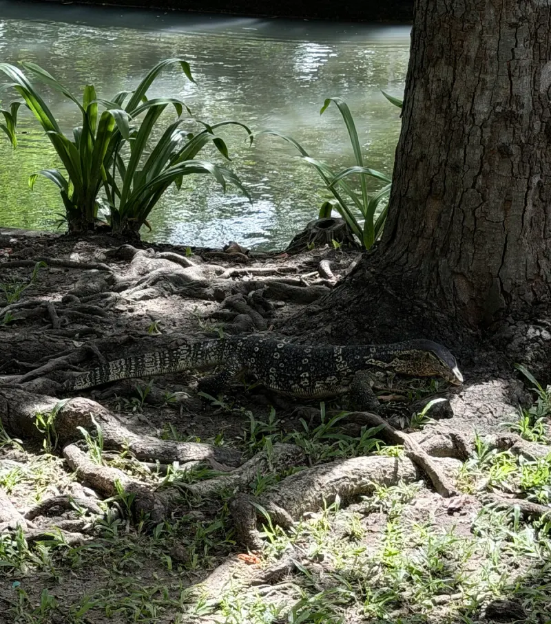 Saranrom Park