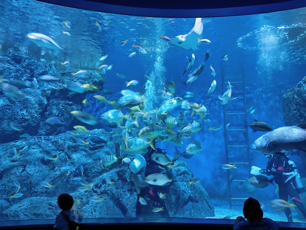 Main view at SEA LIFE Bangkok Ocean World Bangkok — travel photo