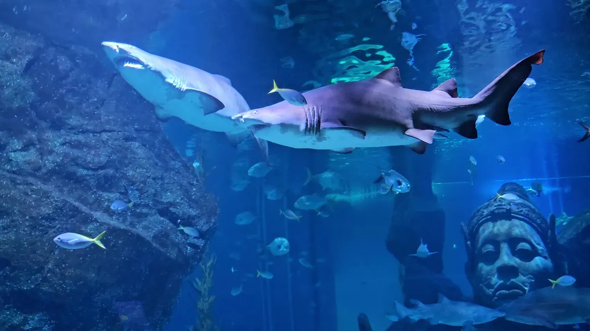 Interior at SEA LIFE Bangkok Ocean World Bangkok — travel photo