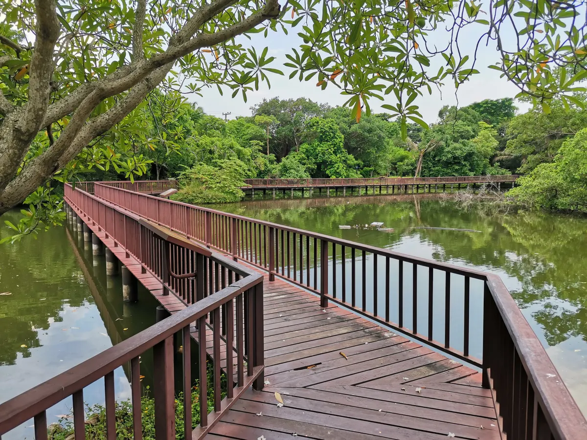 Details at Sri Nakhon Khuean Khan Park and Botanical Garden Bangkok — travel photo