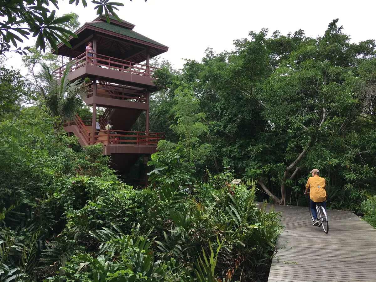 Atmosphere at Sri Nakhon Khuean Khan Park and Botanical Garden Bangkok — travel photo