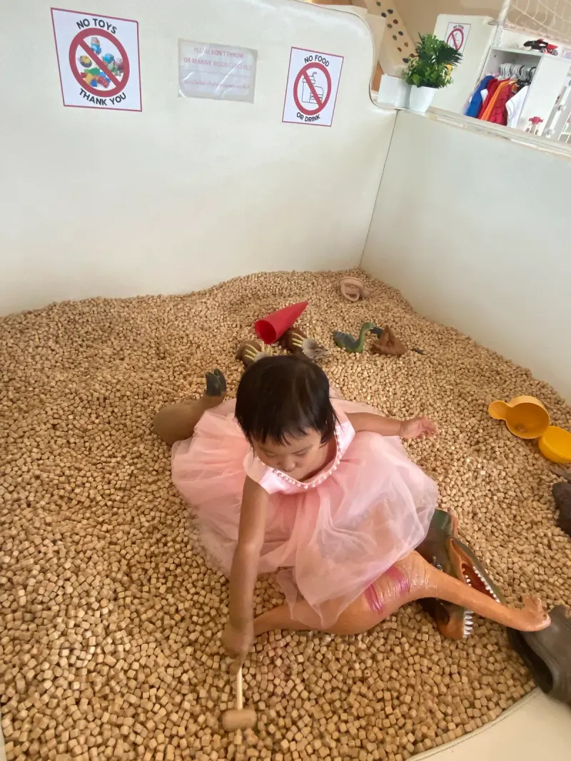 Twinkle Kids Cafe and Playhouse