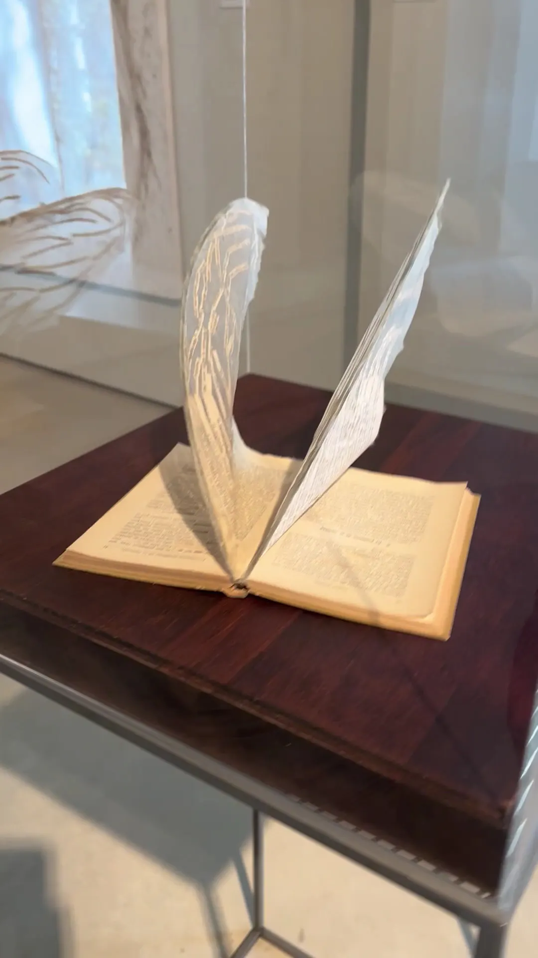 Interior at Can Framis Museum Barcelona — travel photo