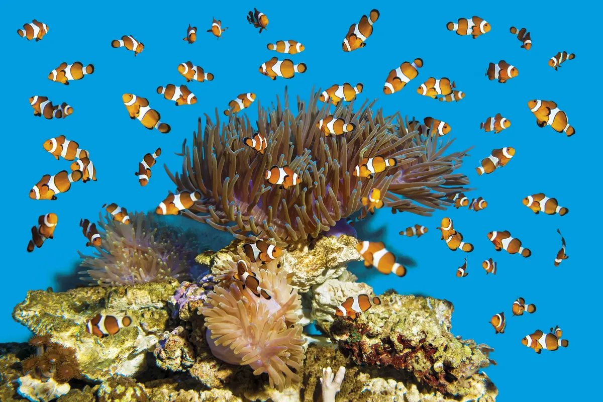 Details at L’Aquàrium de Barcelona Barcelona — travel photo
