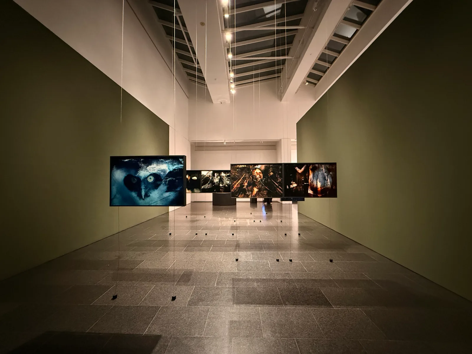 Atmosphere at Museu d’Art Contemporani de Barcelona Barcelona — travel photo