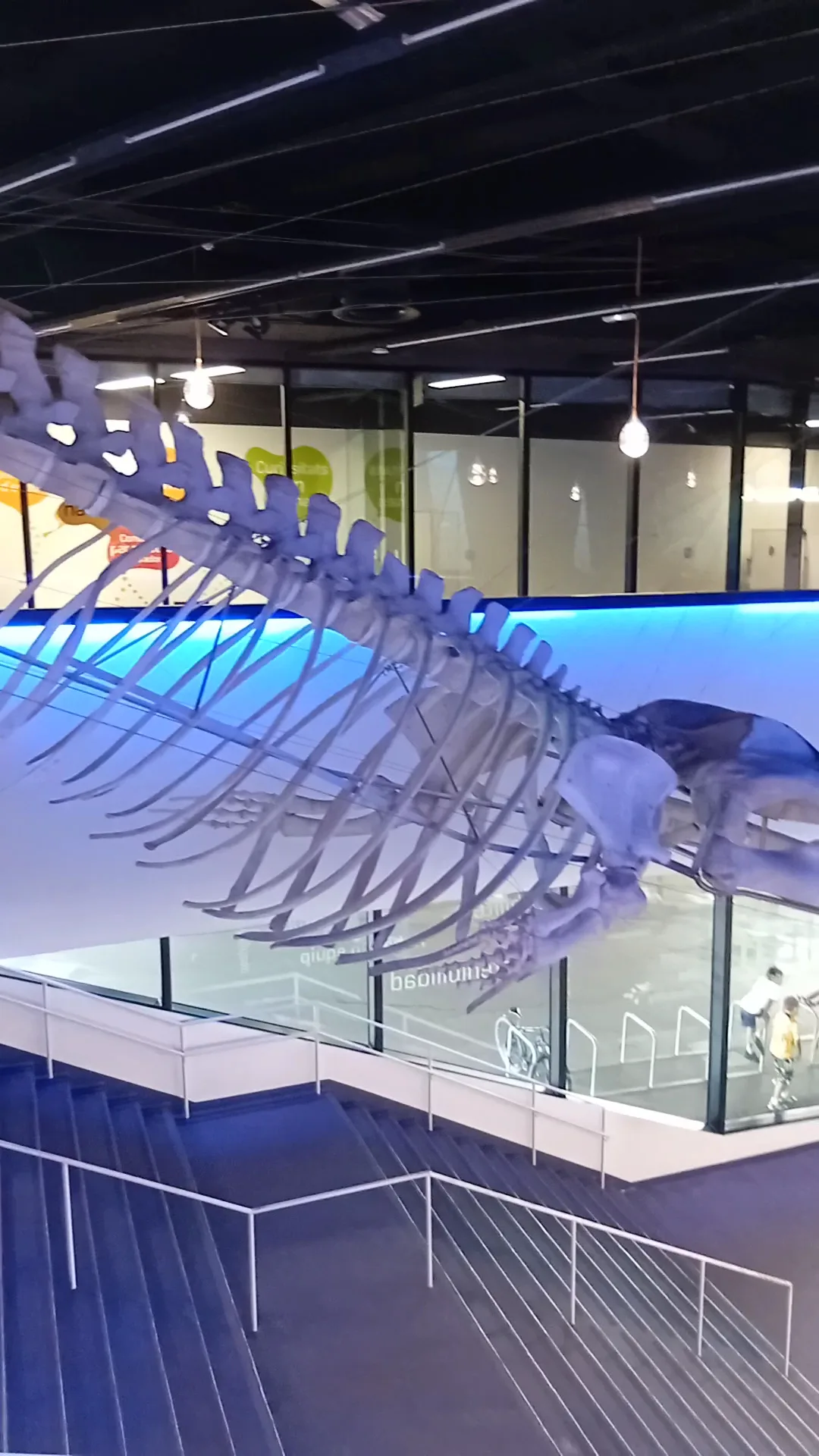 Atmosphere at Museum of Natural Sciences of Barcelona Barcelona — travel photo