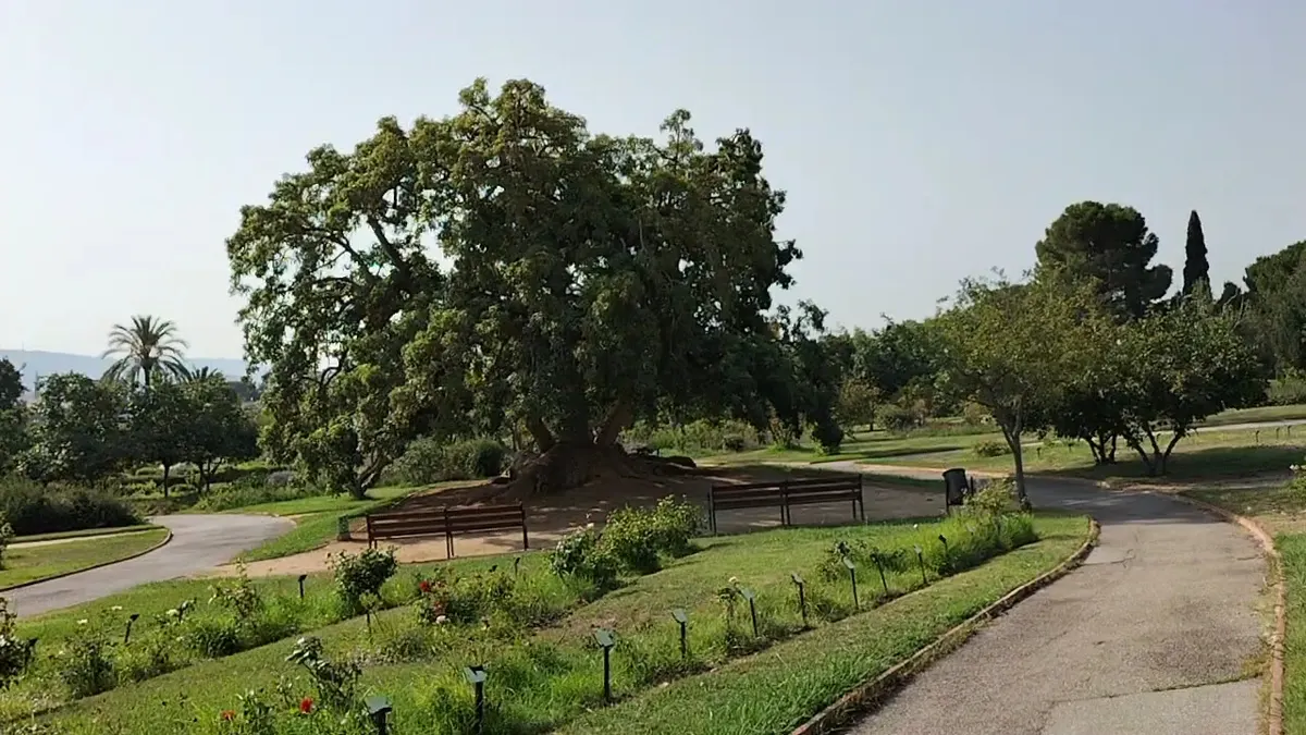 Interior at Parc de Cervantes Barcelona — travel photo