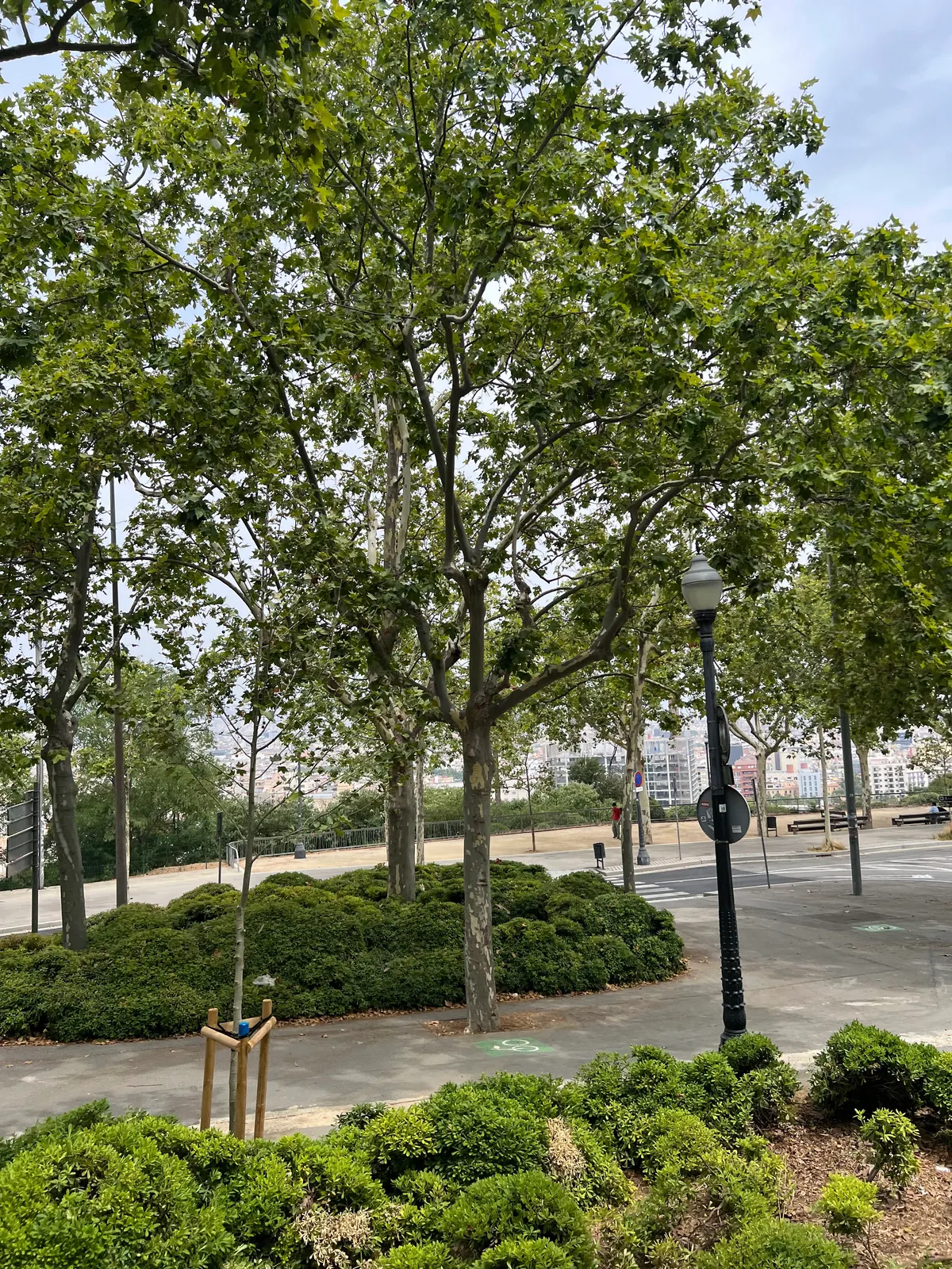 Main view at Parc de Montjuïc Barcelona — travel photo