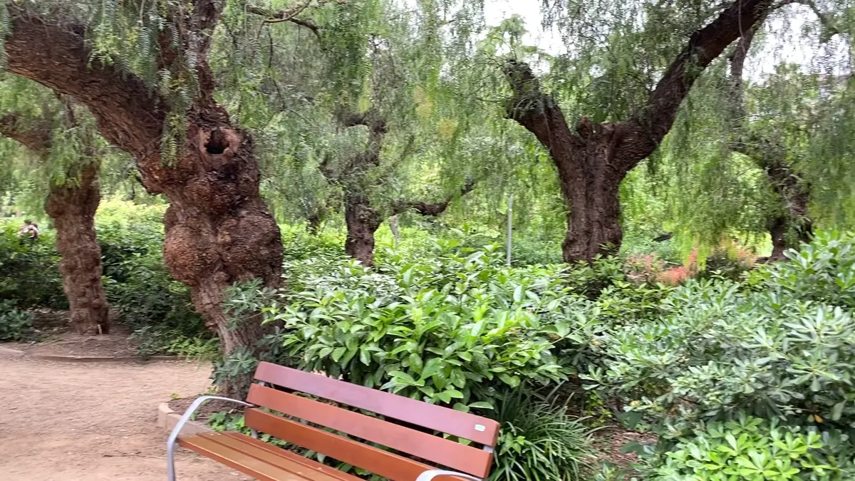 Interior at Parc del Turó Barcelona — travel photo
