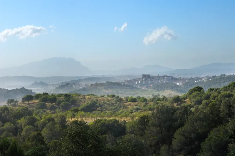 Parc Natural de la Serra de Collserola
