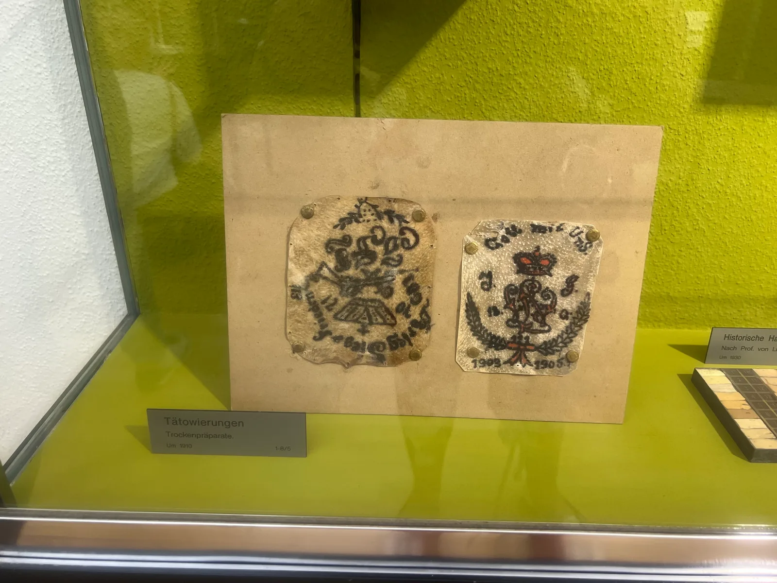 Atmosphere at Anatomical Museum of the University of Basel Basel — travel photo