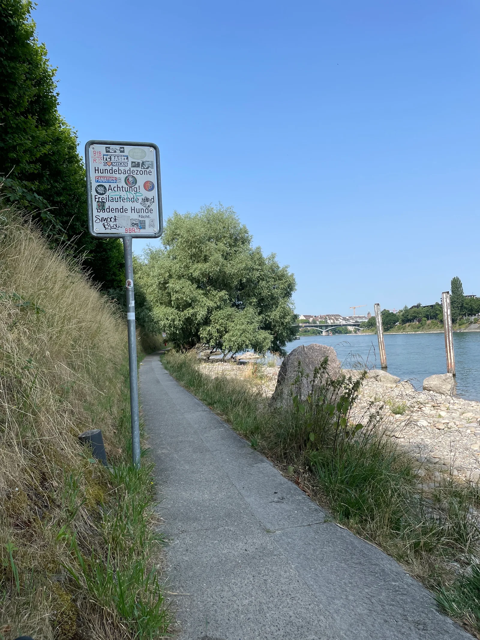Details at Hundestrand Basel Basel — travel photo