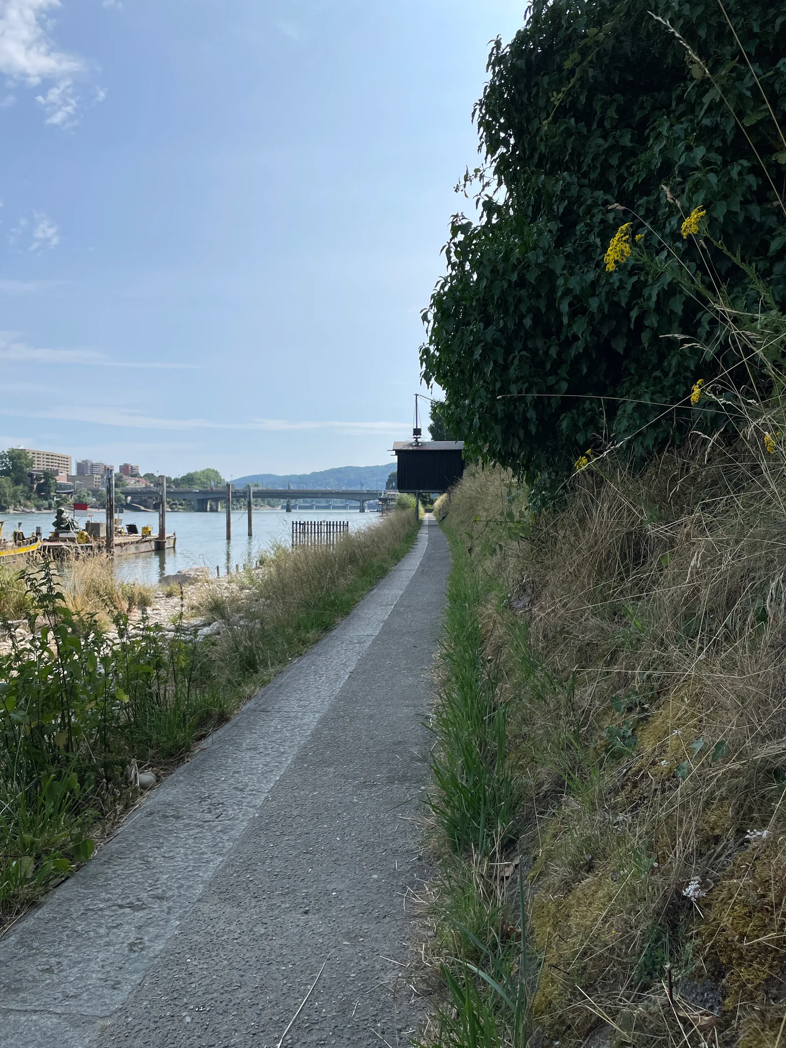 Atmosphere at Hundestrand Basel Basel — travel photo