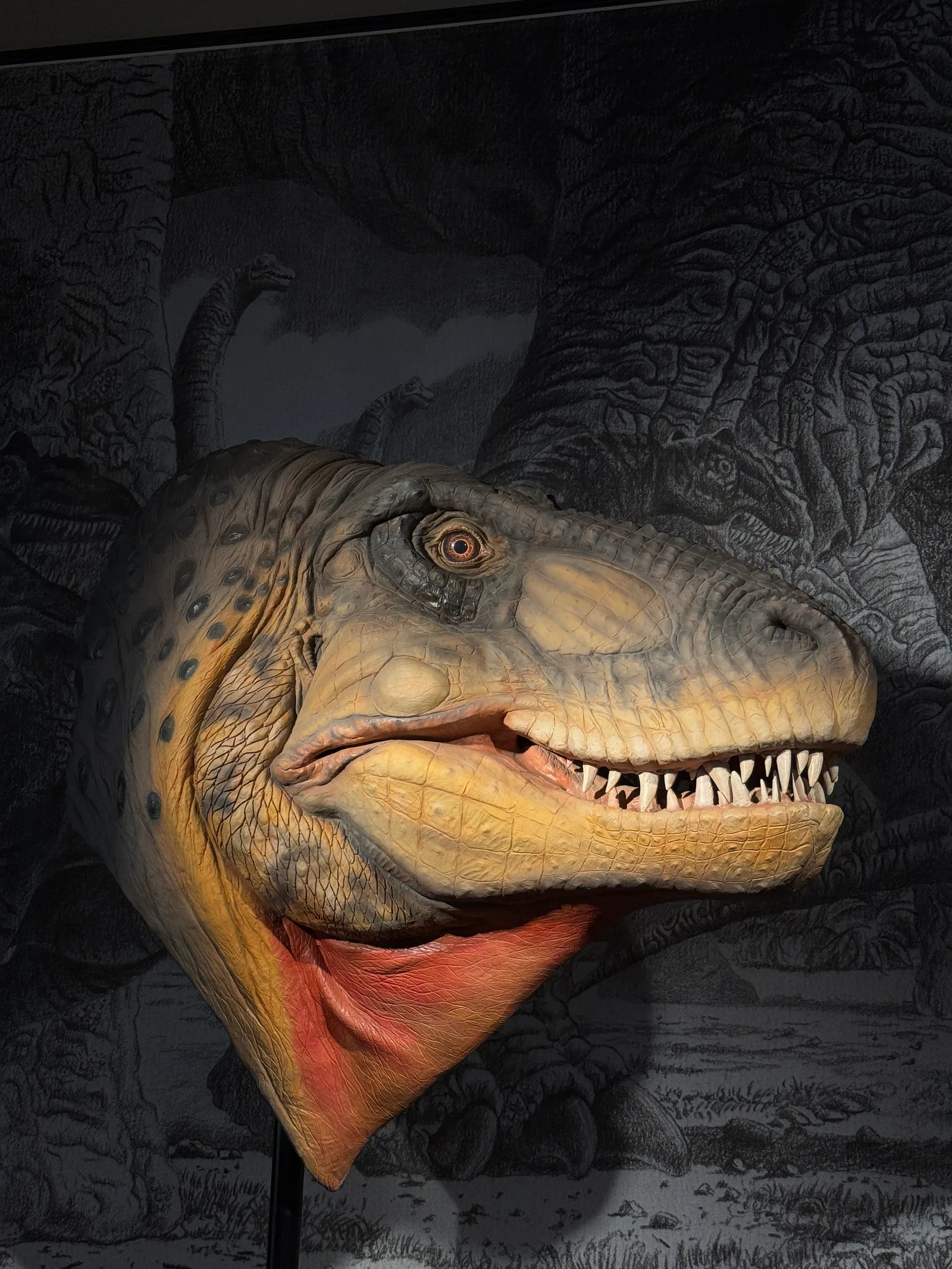 Atmosphere at Museum of Natural History Basel Basel — travel photo