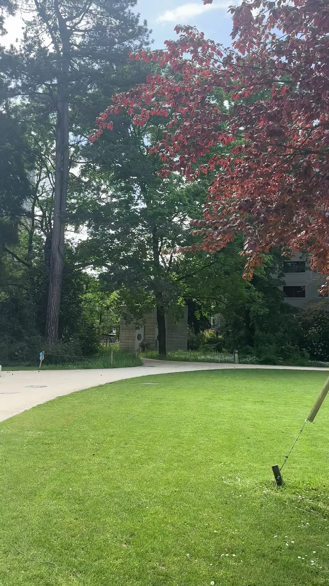 Main view at Rosenfeldpark Basel — travel photo