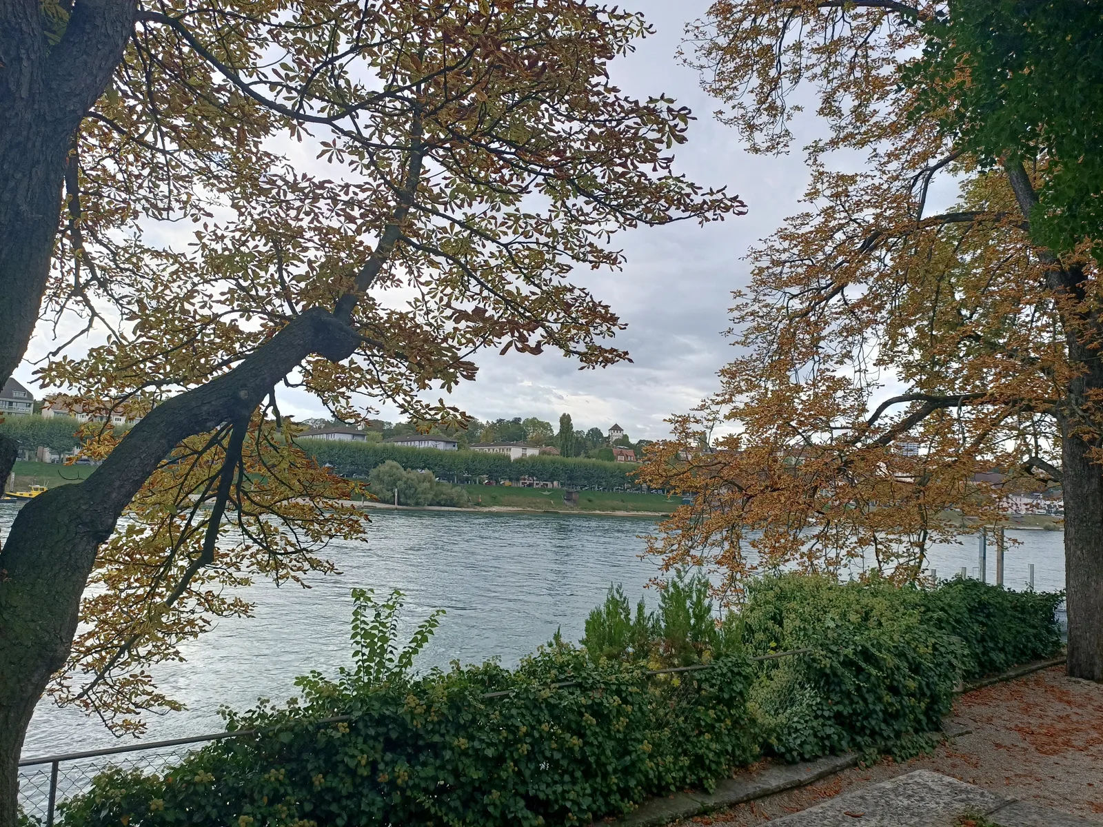 Main view at Schöpfli im Park Basel — travel photo
