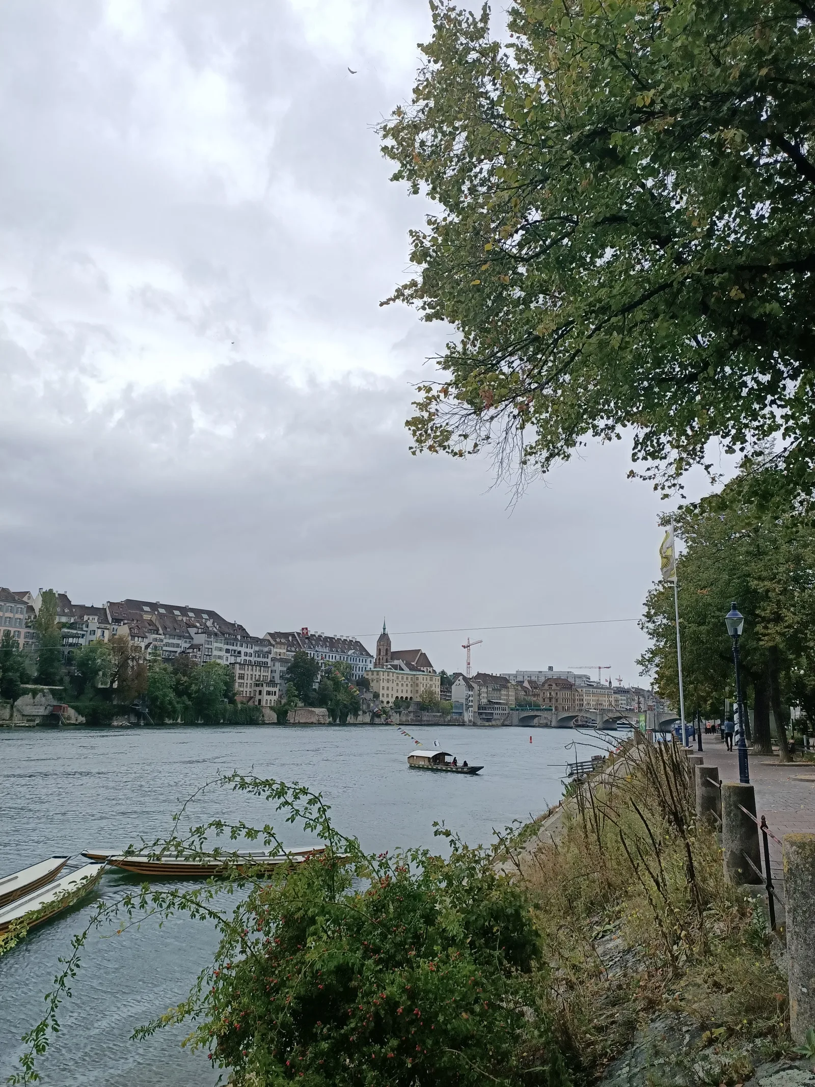 Interior at Schöpfli im Park Basel — travel photo