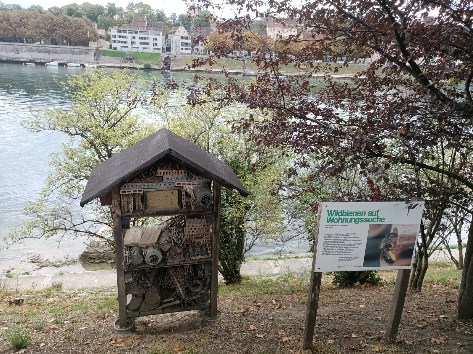 Details at Schöpfli im Park Basel — travel photo