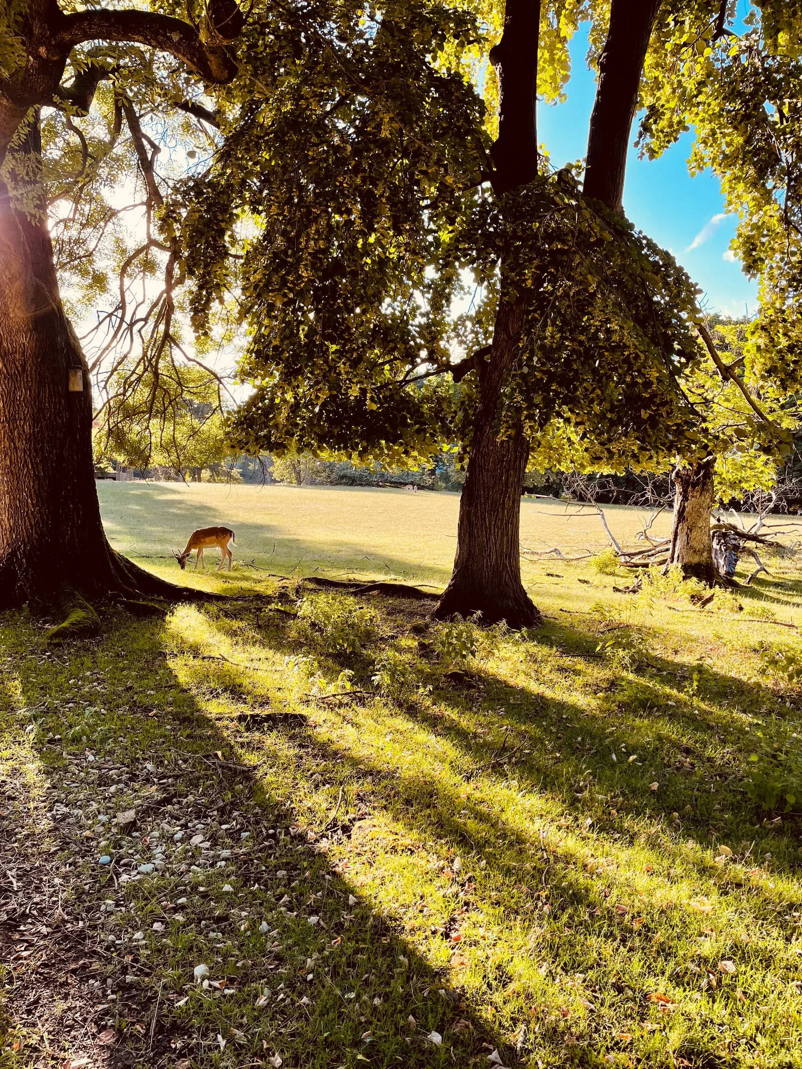 Interior at Schwarzpark Basel — travel photo