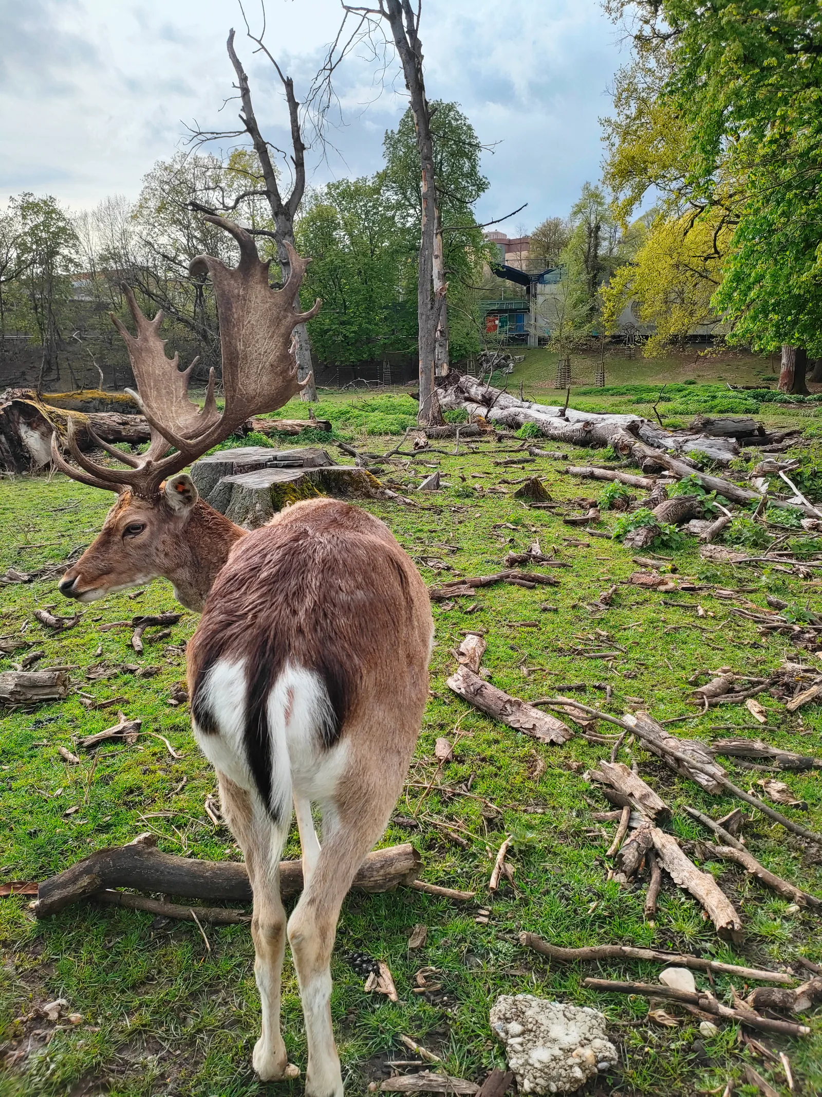 Atmosphere at Schwarzpark Basel — travel photo