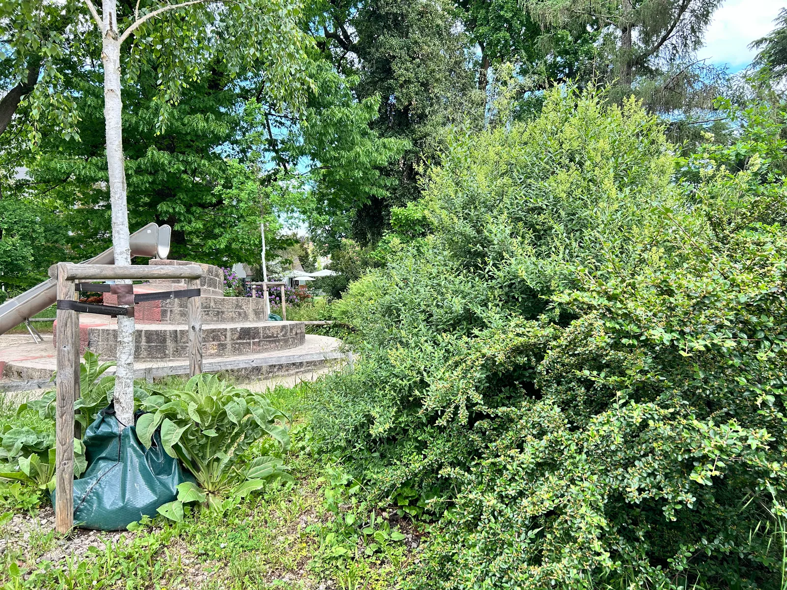 Details at Spielplatz Solitude Basel — travel photo
