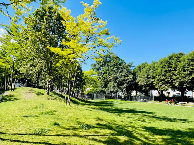 Steinbühlmätteli