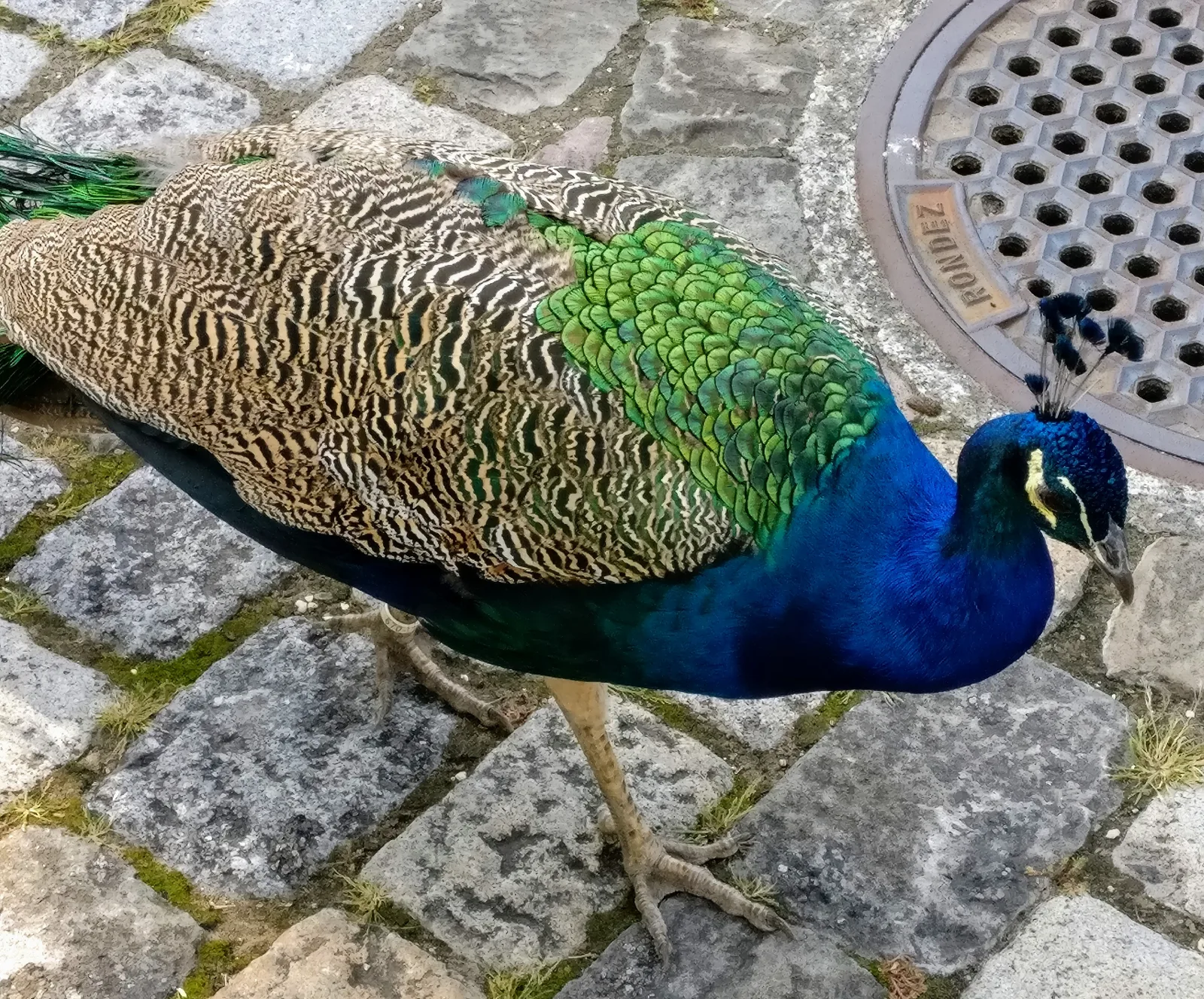 Interior at Tierpark Lange Erlen Basel — travel photo