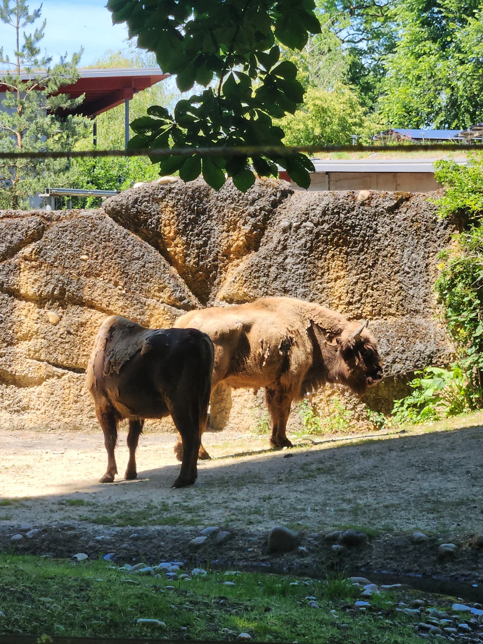 Details at Tierpark Lange Erlen Basel — travel photo