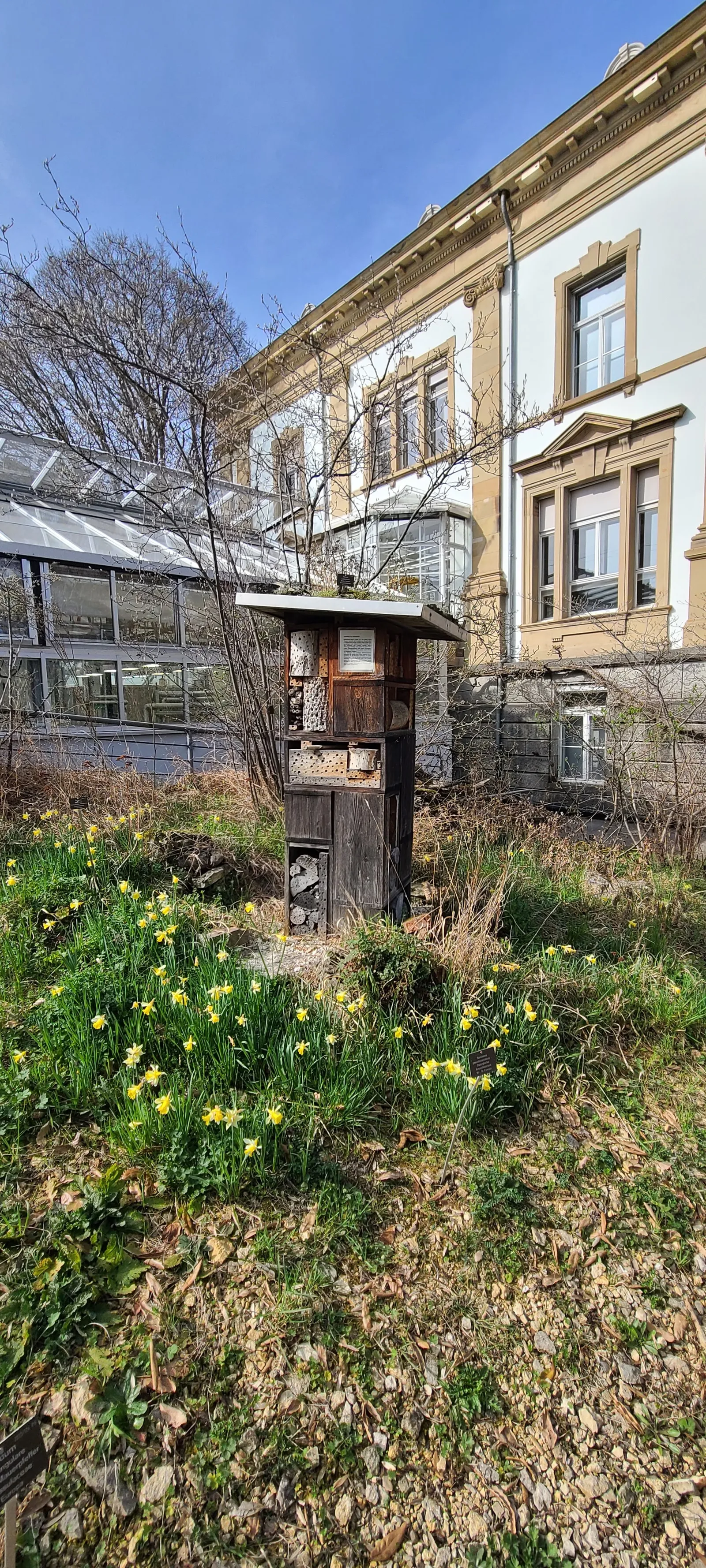 Interior at University of Basel Botanical Garden Basel — travel photo