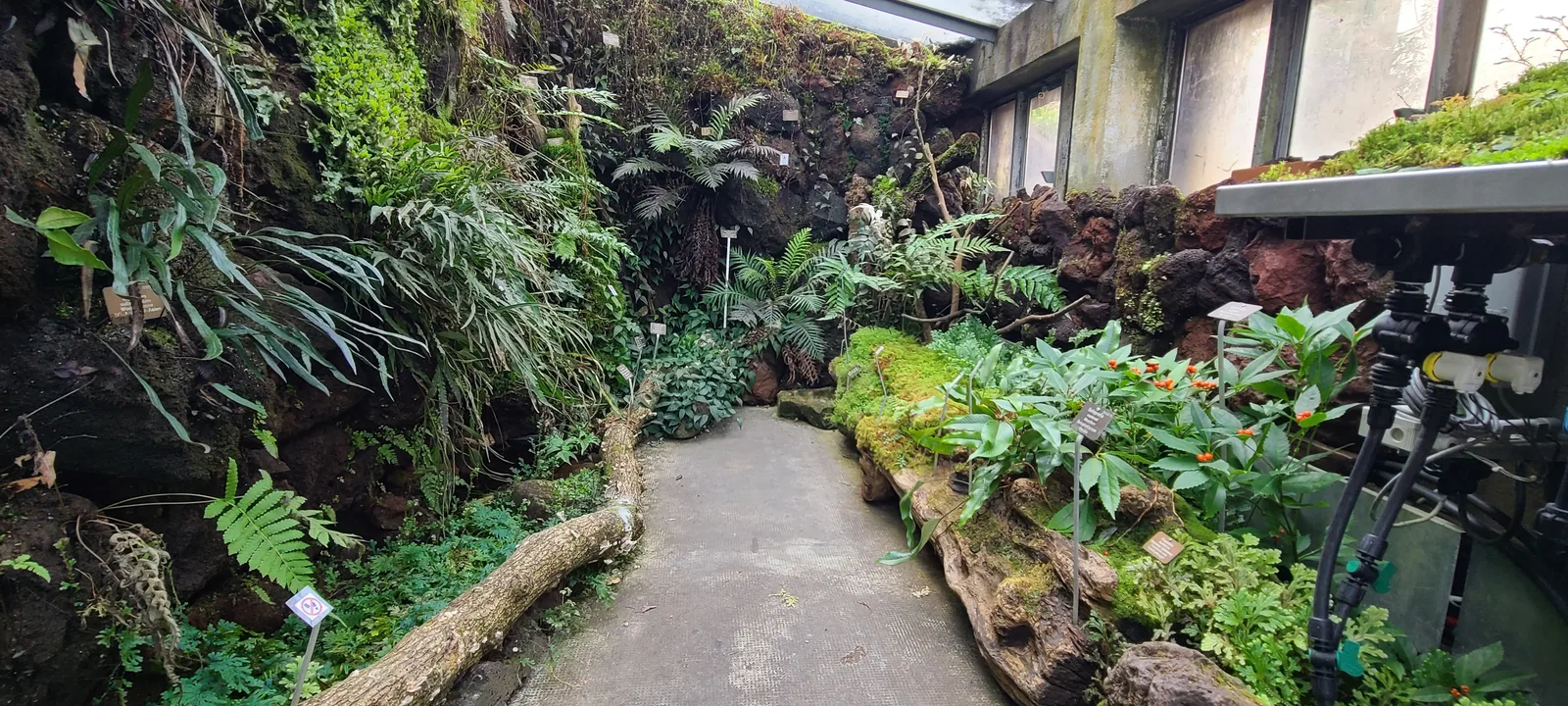 Details at University of Basel Botanical Garden Basel — travel photo
