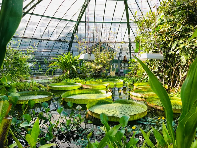 University of Basel Botanical Garden in Basel