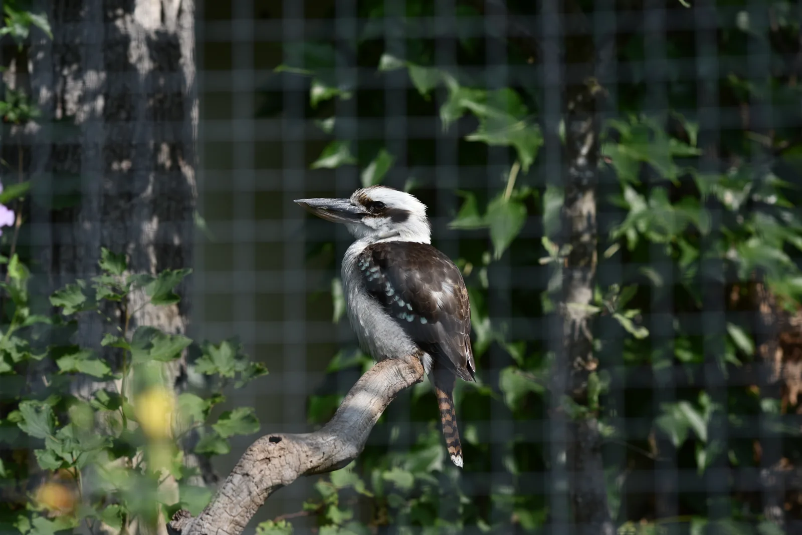 Details at Zoo Basel Basel — travel photo