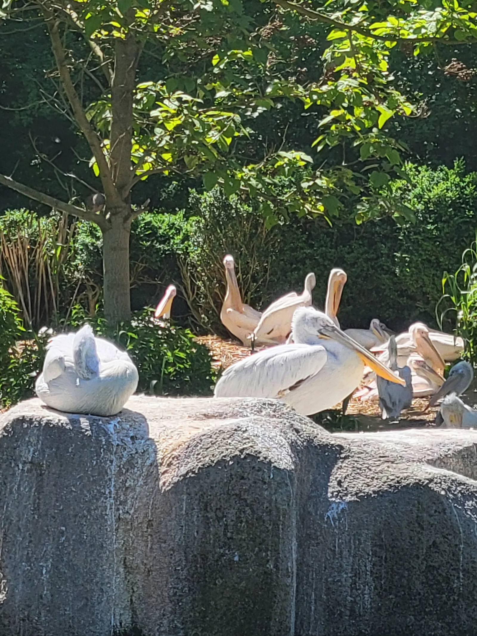 Atmosphere at Zoo Basel Basel — travel photo