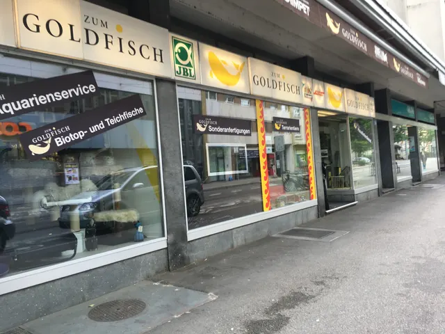 Zum Goldfisch Fiwe-Aquarium GmbH