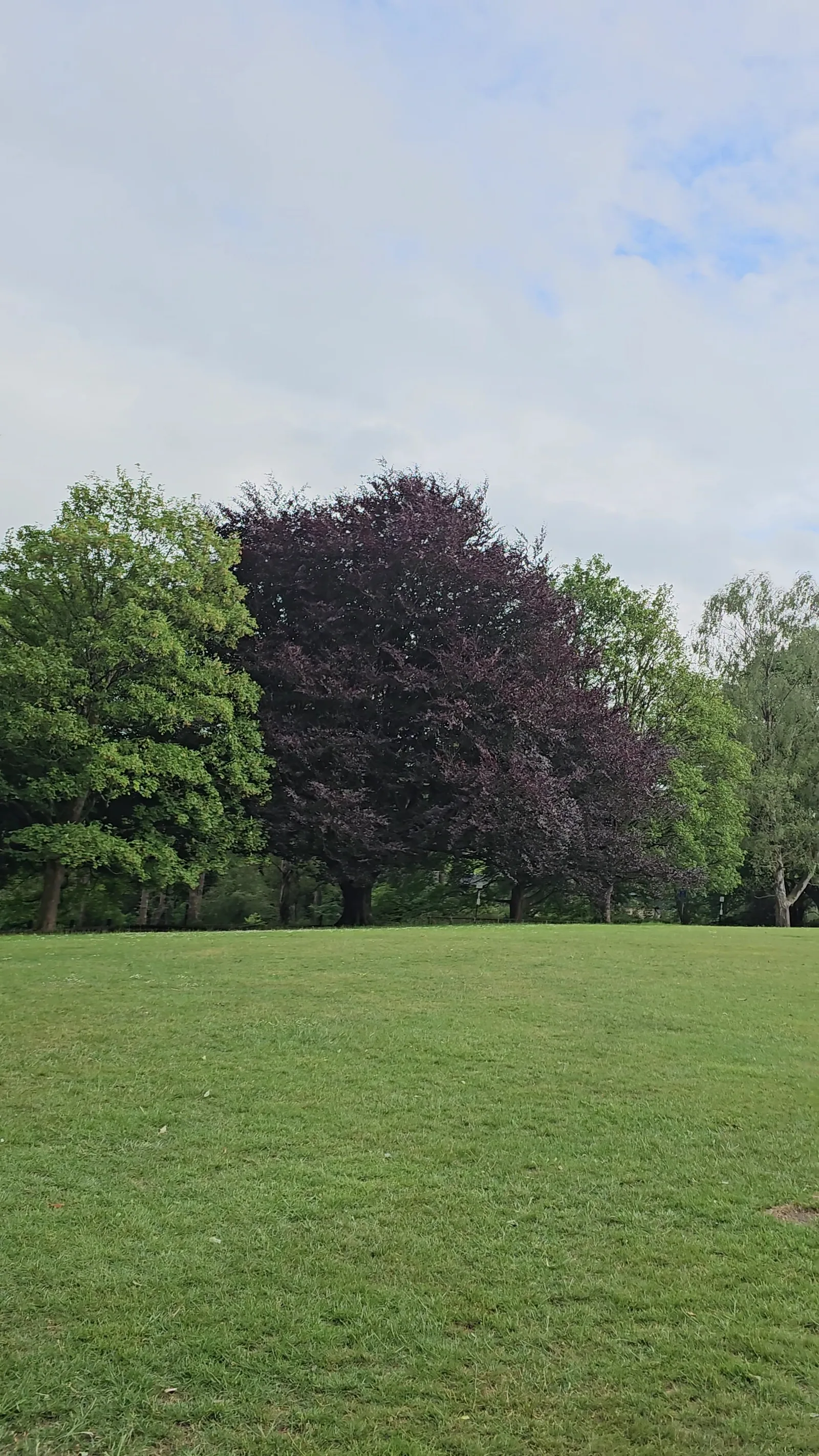Main view at Alexandra Park Play Area Bath — travel photo